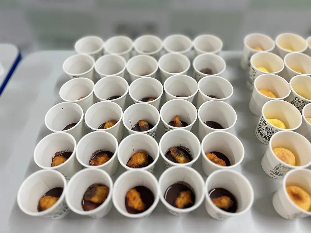 Cores e Sabores do Brasil no EC 113 Norte — registro 115