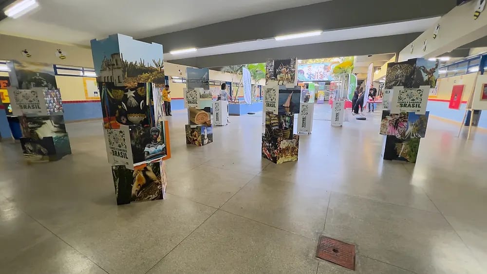 Cores e Sabores do Brasil no EC 113 Norte — registro 121