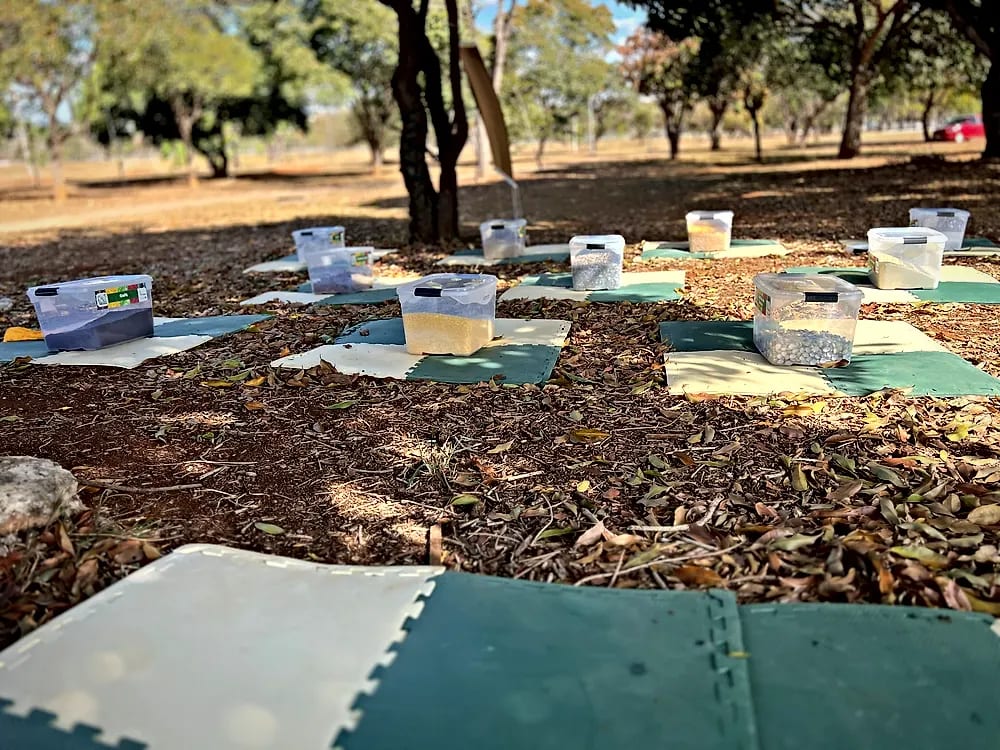 Cores e Sabores do Brasil no Escola Meninos e Meninas do Parque — registro 13