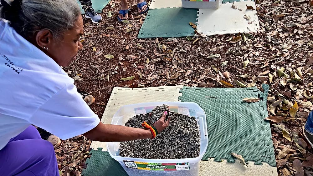 Cores e Sabores do Brasil no Escola Meninos e Meninas do Parque — registro 16