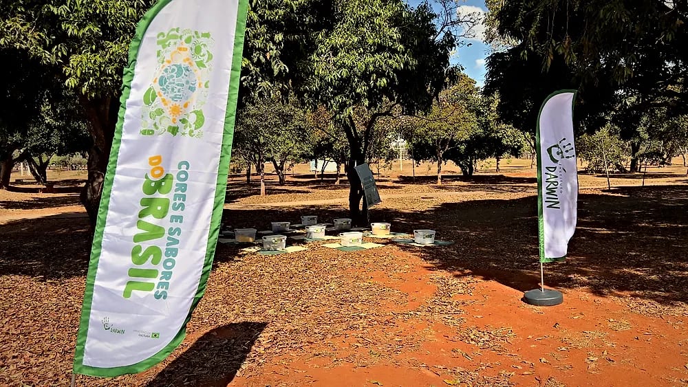 Cores e Sabores do Brasil no Escola Meninos e Meninas do Parque — registro 19