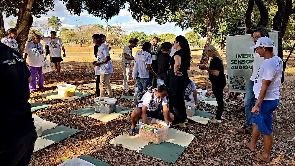 Cores e Sabores do Brasil no Escola Meninos e Meninas do Parque — registro 20