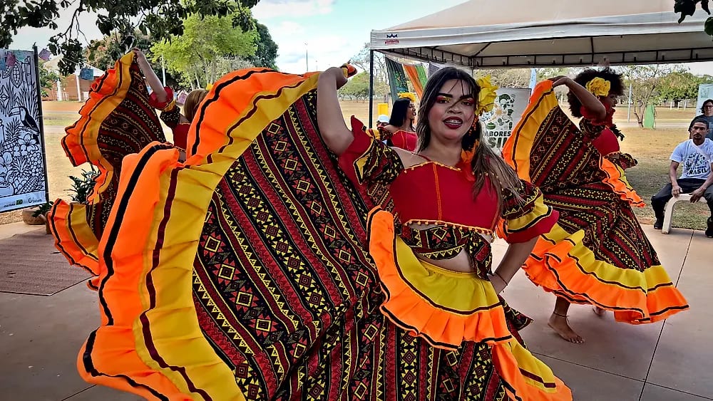 Cores e Sabores do Brasil no Escola Meninos e Meninas do Parque — registro 24